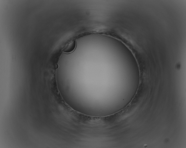 X0000093521447200710191322