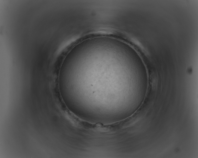 X0000093521448200710191322