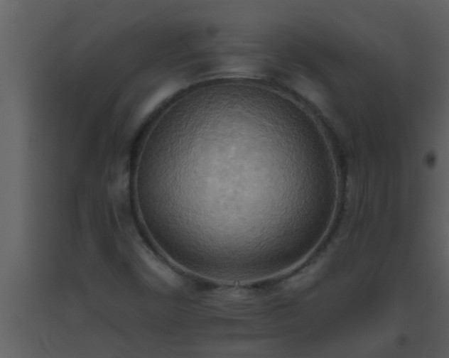 X0000093521450200710191322