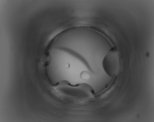 X0000093521453200710191322