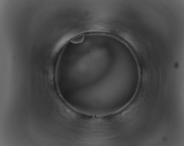 X0000093521455200710191322