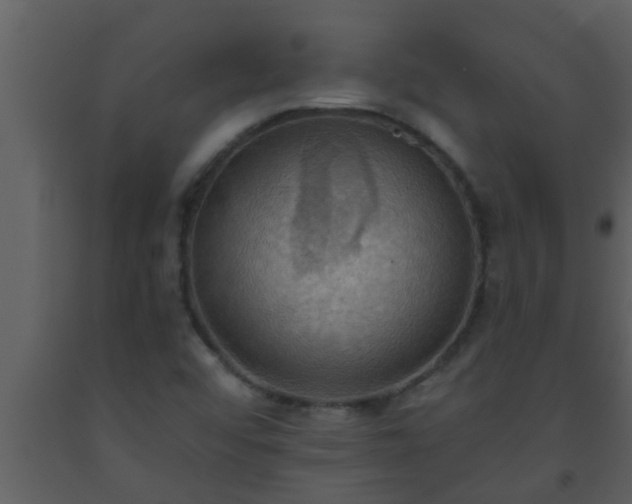 X0000093521456200710191322