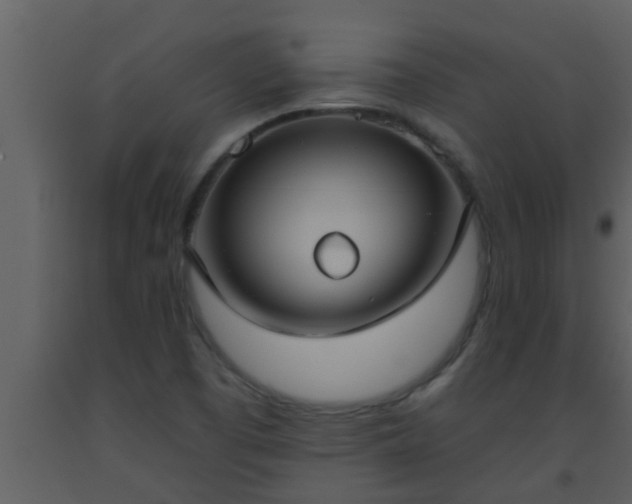 X0000093521457200710191322