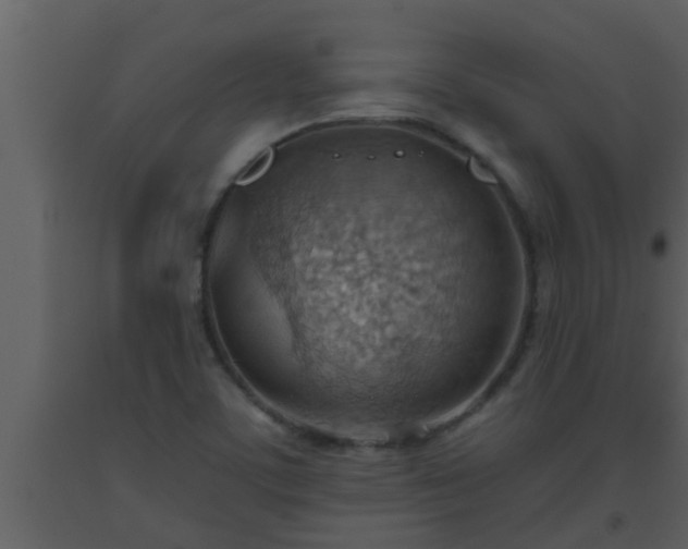 X0000093521459200710191322