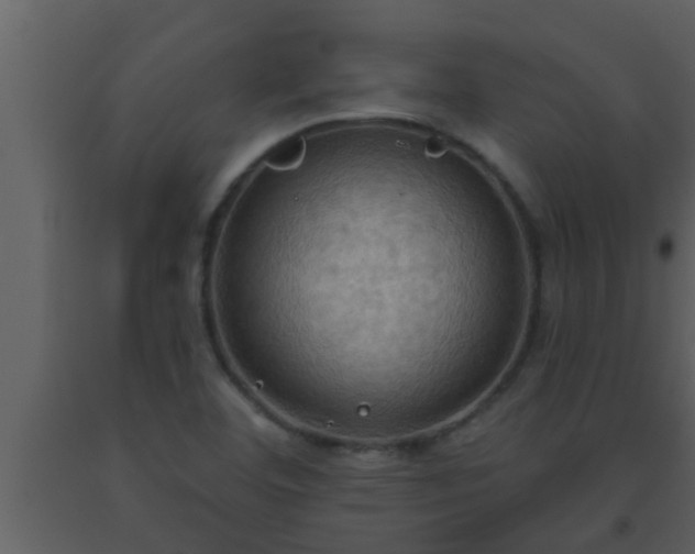X0000093521460200710191322