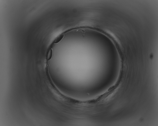 X0000093521461200710191322