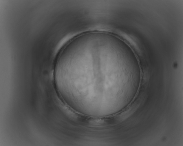 X0000093521462200710191322