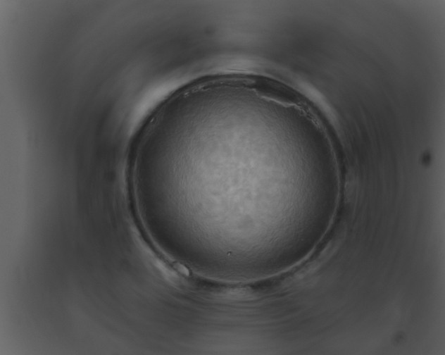 X0000093521464200710191322