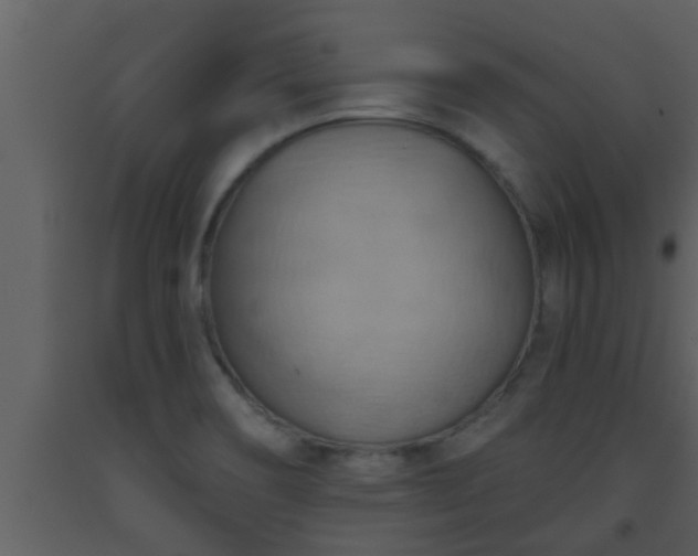 X0000093521466200710191322