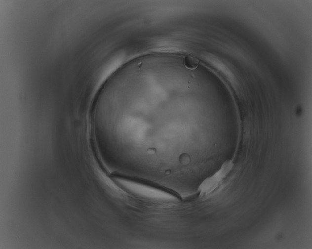 X0000093521467200710191322