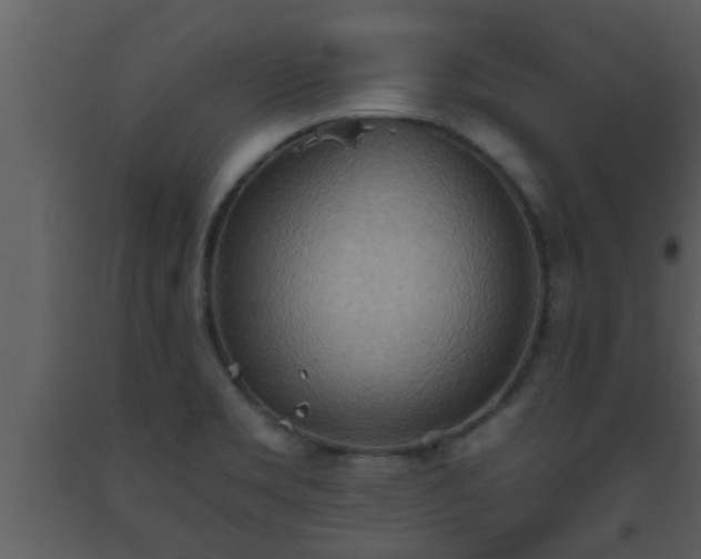X0000093521469200710191322