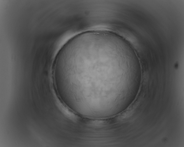 X0000093521470200710191322