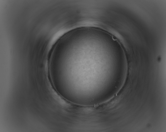 X0000093521472200710191322