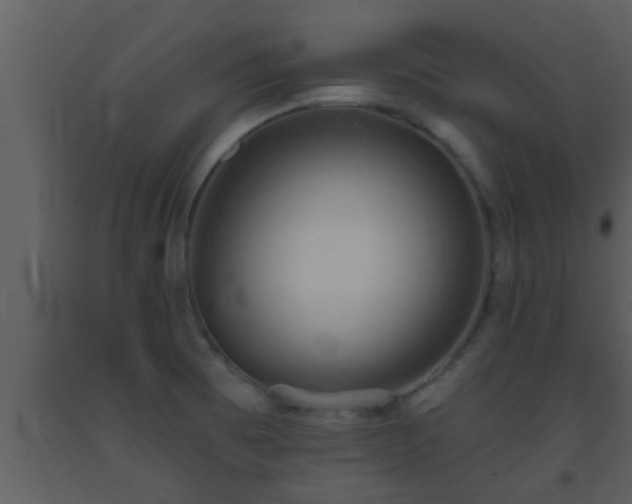 X0000093521473200710191322