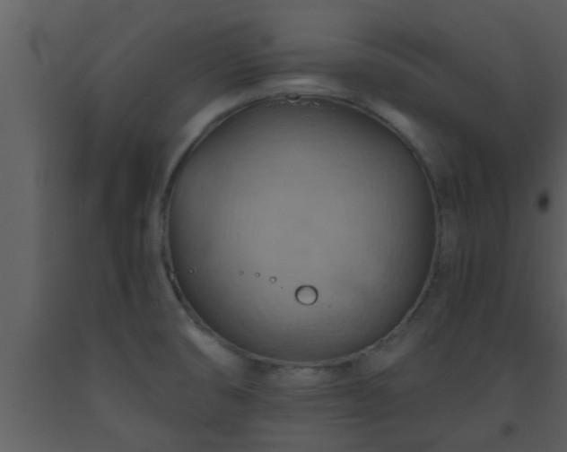 X0000093521474200710191322