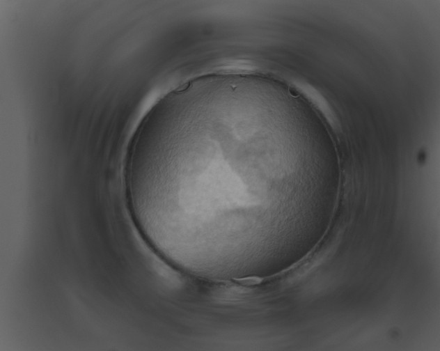 X0000093521475200710191322
