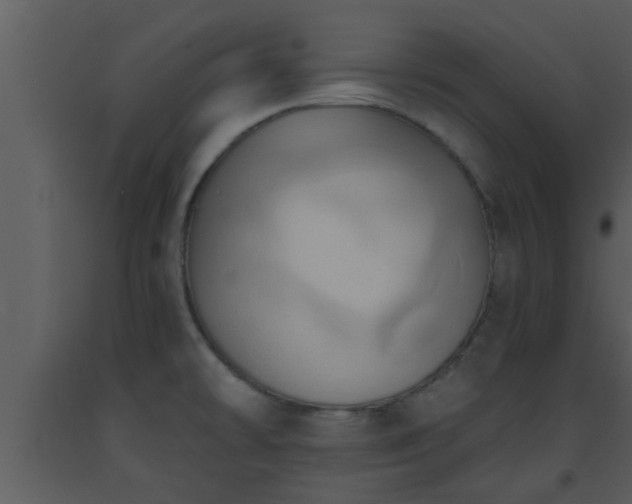 X0000093521478200710191322