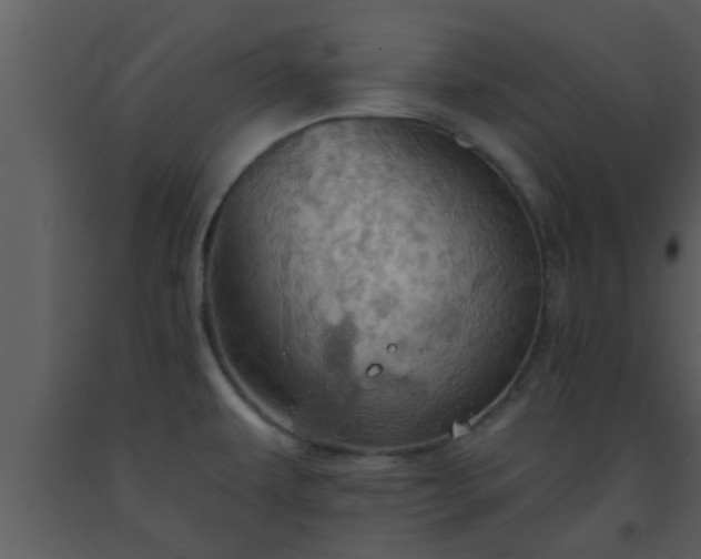 X0000093521479200710191322