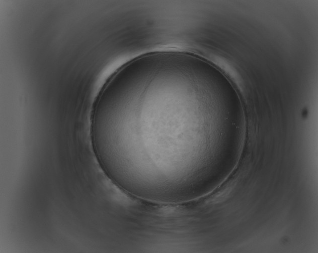 X0000093521480200710191322
