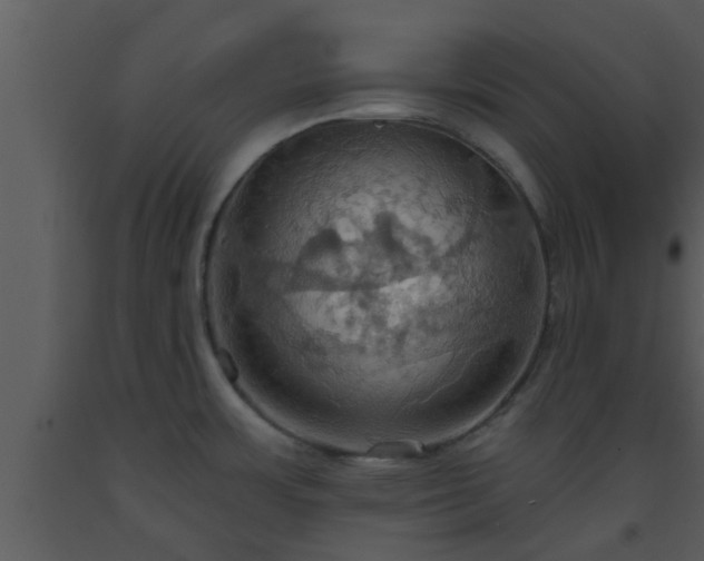 X0000093521483200710191322