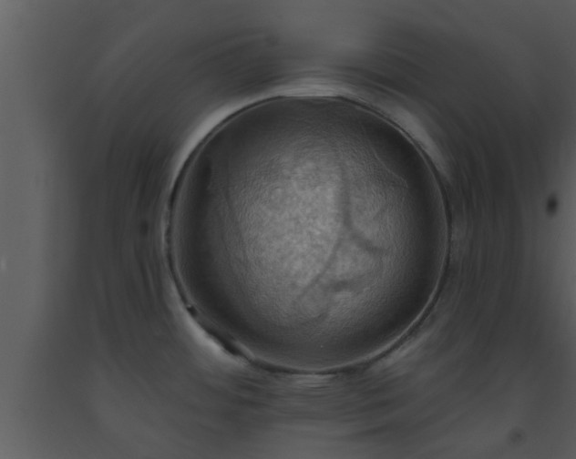 X0000093521484200710191322