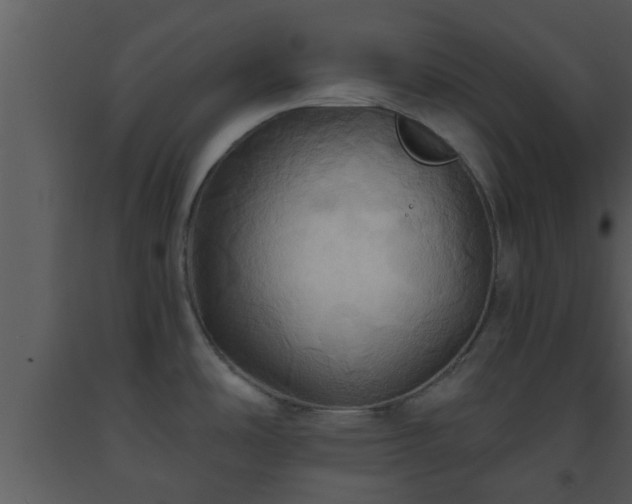 X0000093521486200710191322