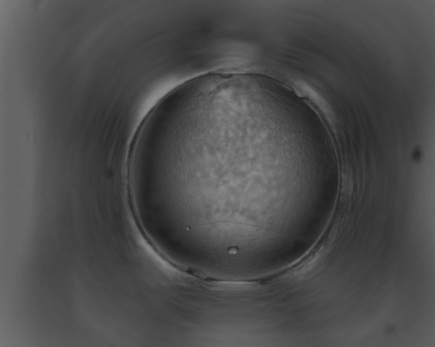 X0000093521487200710191322