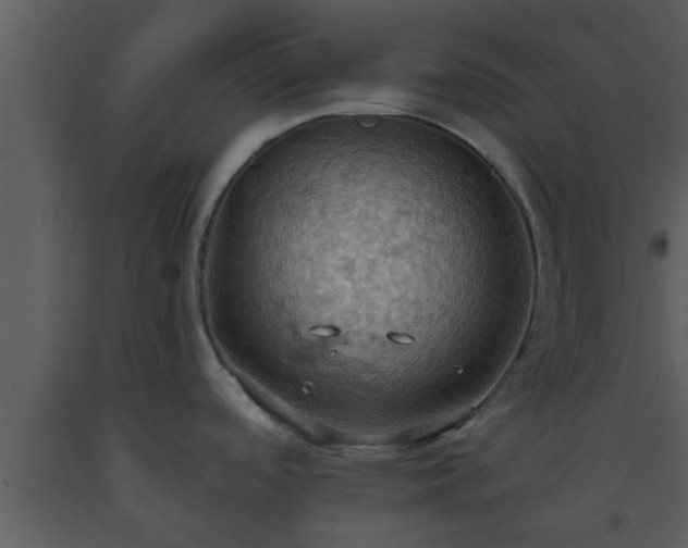 X0000093521488200710191322