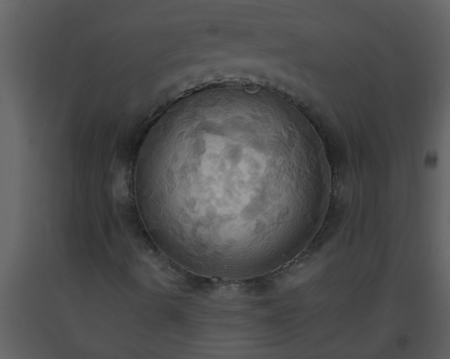 X0000093521490200710191321