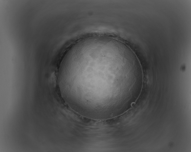 X0000093521493200710191321