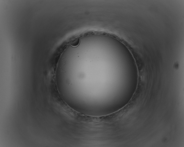 X0000093521495200710191321