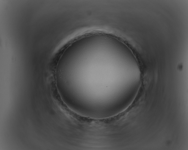 X0000093521496200710191321