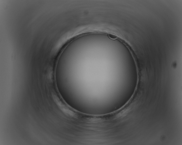 X0000093521499200710191321