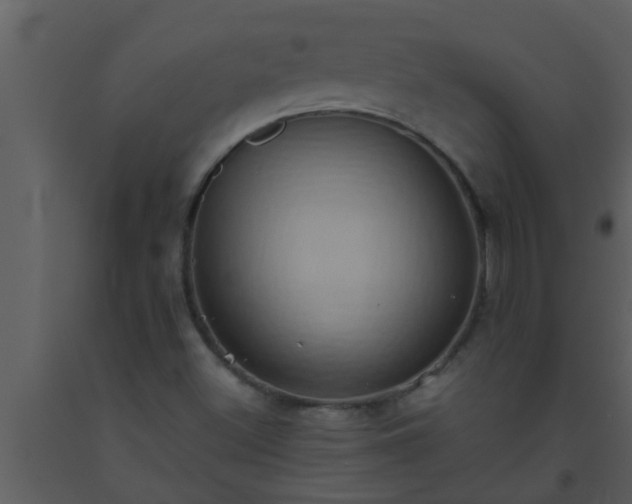 X0000093521500200710191321