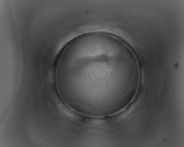 X0000093521501200710191321