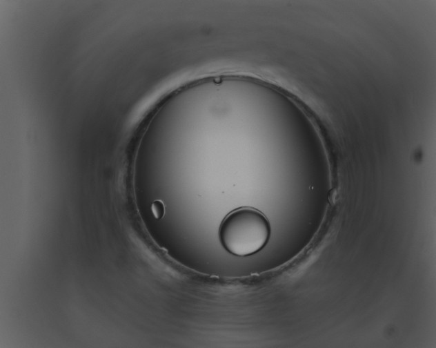 X0000093521502200710191321