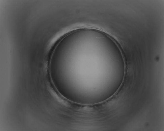 X0000093521503200710191321