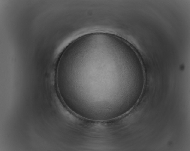 X0000093521504200710191321
