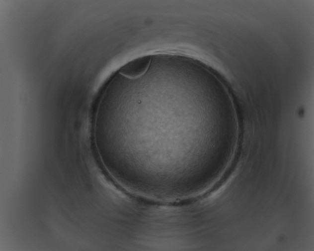 X0000093521506200710191321