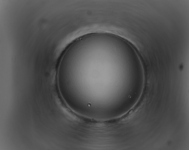 X0000093521507200710191321