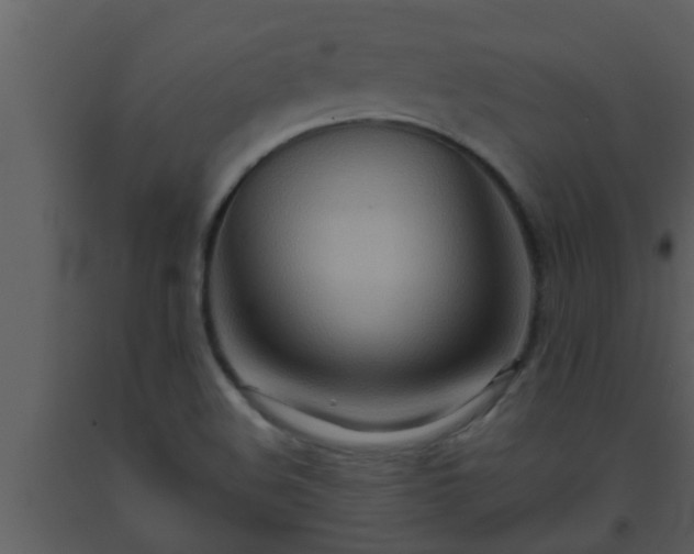 X0000093521508200710191321