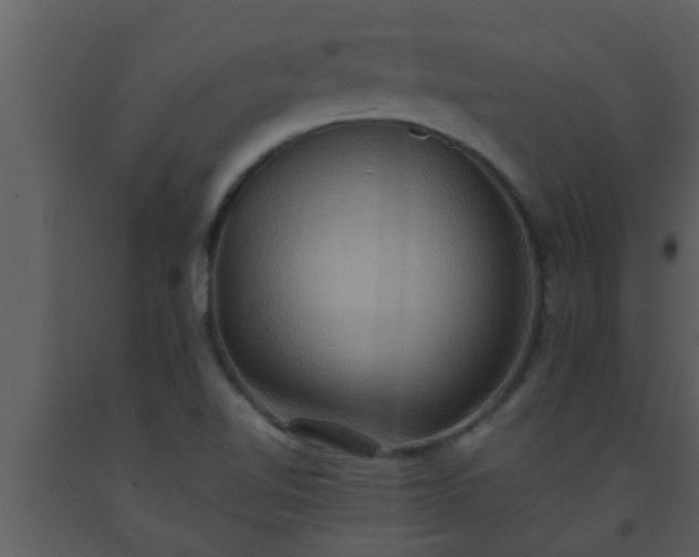 X0000093521510200710191321
