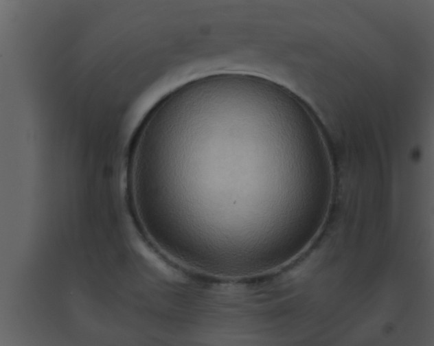 X0000093521511200710191321