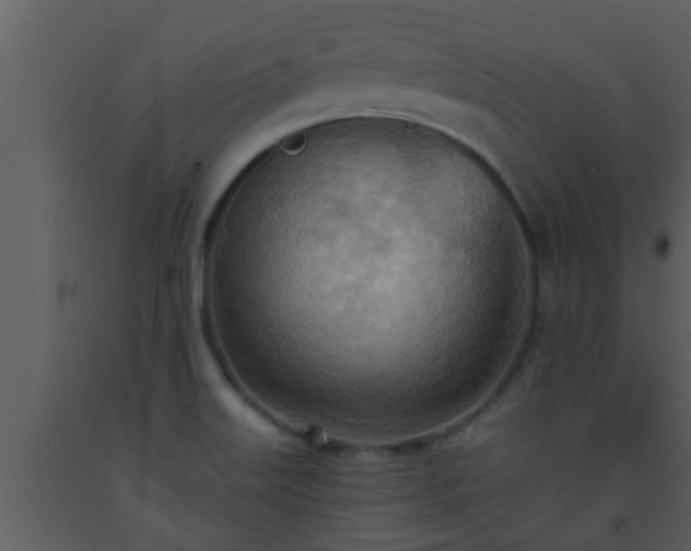 X0000093521515200710191321