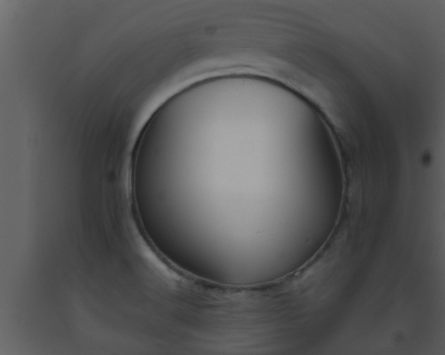 X0000093521516200710191321