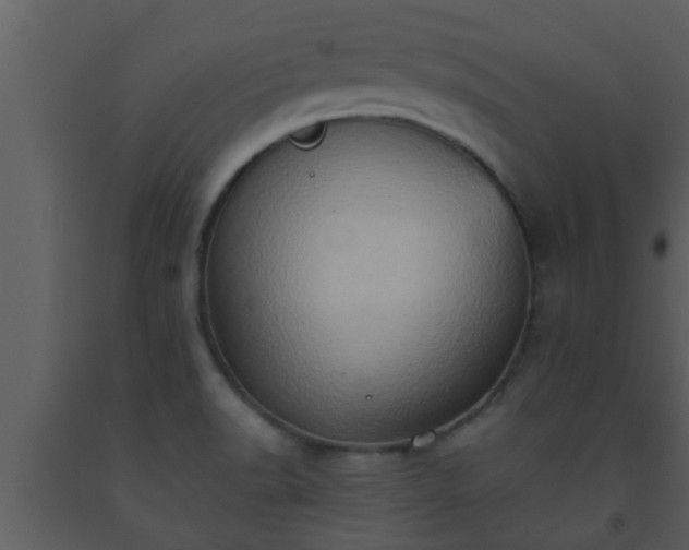 X0000093521518200710191321