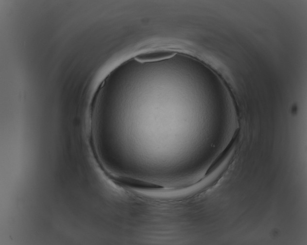 X0000093521520200710191321