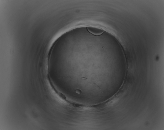 X0000093521522200710191321