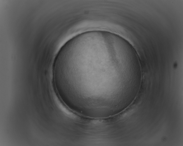 X0000093521523200710191321