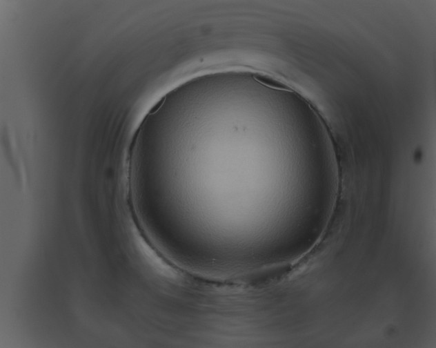 X0000093521524200710191321